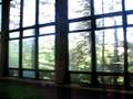 Grossinger's Indoor Pool [1/4]