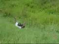 videos de Day in the Park Prt. 5
