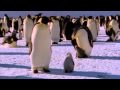 Natural World - Bringing Up Baby (2009) (Part 2/6)