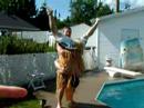 hawain-party.html