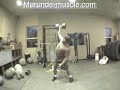 1 arm press 120 lb DB 3x20 each arm