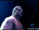 hhh tribute 