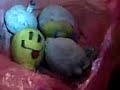 DEAD LEMONS