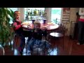 Video 7