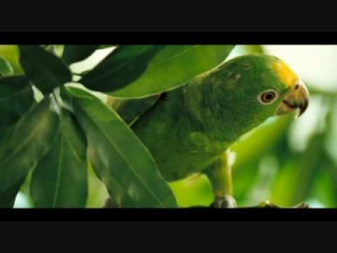 Video de Pienso en ti de Shakira