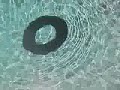 Donut by Gary Oldman
