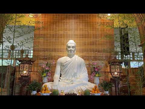 NIKAYA Giảng Giải-Niệm Tăng -Hạnh Phúc Có Được Thầy Lành Bạn Tốt-Kinh NANDIYA -Tăng Chi IV(MAHANAMA)