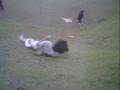 PIC00019.AVI