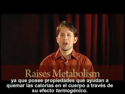 Imagen de previsualización de YouTube