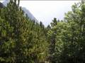 videos de Javorak 2008/Drezanka Vodopadi (Dreznica, BiH)