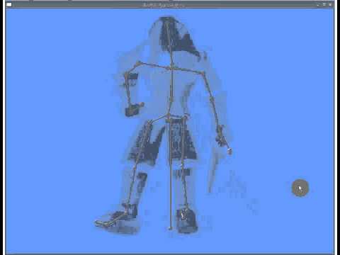 skeletal renewal - No skinning animation.