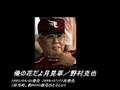 わさび寿司で騙す野村謙二郎