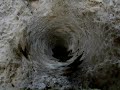 la lucha de los insectos  arañas 