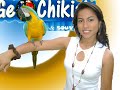 tarapotinas - silvia