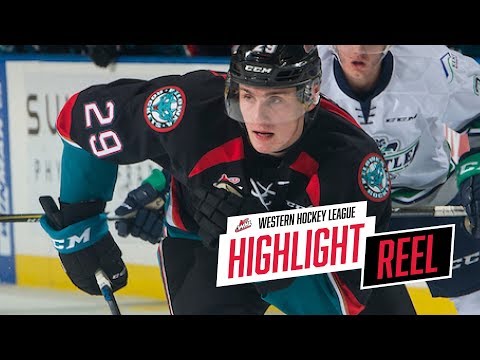 2018-19 HIGHLIGHT REEL | Nolan Foote