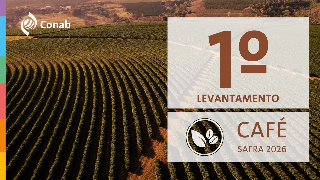1º Levantamento da Safra de Café 2026