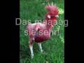videos de Chicken Song - Für Jana & Bine