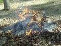 Burning the Chair part 2