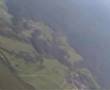 Paragliding in Slovenia