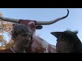 AggieReport.com - Mack Brown Recruiting Video