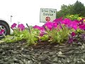 Church Drive Thru