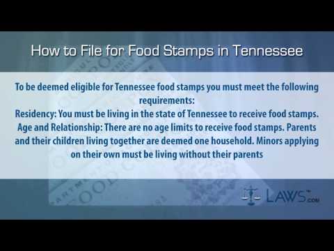 how to apply for food stamps in tn