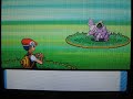 Shiny Nidorina (1 of 4) pokeradar chain 40 pokemon diamond