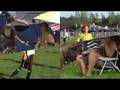 videos de Les Rebelles de Valleyfield, U10 saison de soccer compétitif