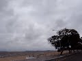 Ciclone Extratropical em Porto Alegre