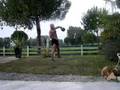 KETTLEBELLS JUGGLING 24KG