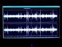 EVP - Many Voices 5 EVP - Many Voices 5