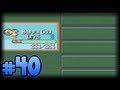 Pokémon Sapphire - Happy Day! - Part 41 (Finale)