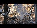 canon-0059.avi
