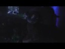 DJ GRIP BIRTHDAY PARTY-CLUB FUZE PART.2