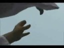 EL ARREBATAMIENTO DE CRISTO - pelicula completa 10 minutos