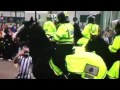Newcastle fan punches horse - YouTube
