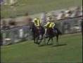 Mtoto Reference Point and Triptych 1987