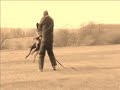Doberman AFY Alias - Training protection