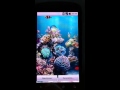 Anipet Aquarium Live Wallpaper