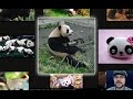 Screencast: PicLens Media Browsing