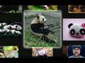 Screencast: PicLens Media Browsing