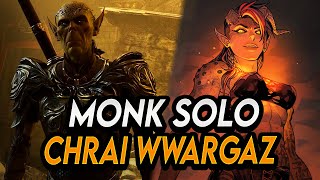 Baldurs Gate 3: Monk solo Inquisitor Wwargaz   Hon