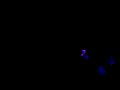 Video-0001.mp4