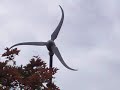 wind turbine