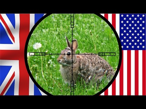 UK vs USA Air Rifle Hunting