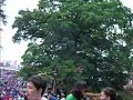 Electric Picnic  2008