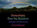 Somewhere Over the Rainbow