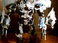transformers movie leader class megatron toy review transformers movie leader class megatron toy review