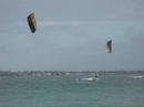 Tom Kites Kailua II