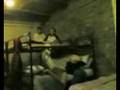 senzaneuroni.com cazzate